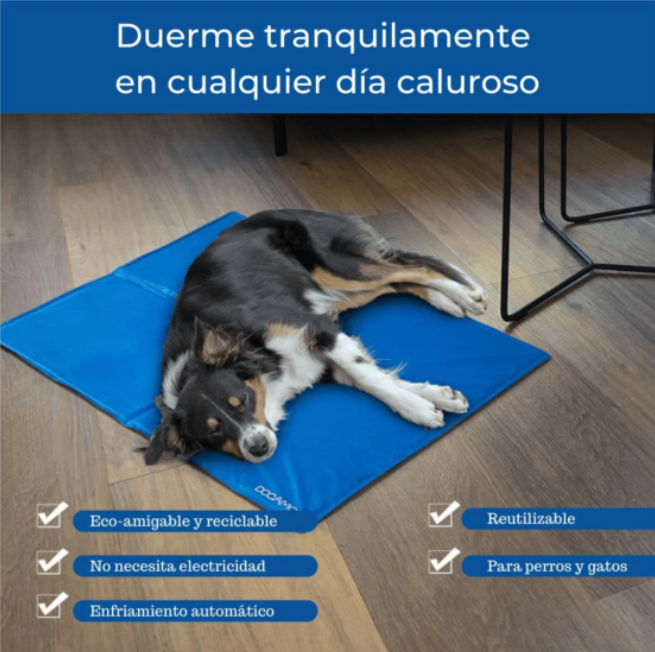 Refrescante Mat para mascota!