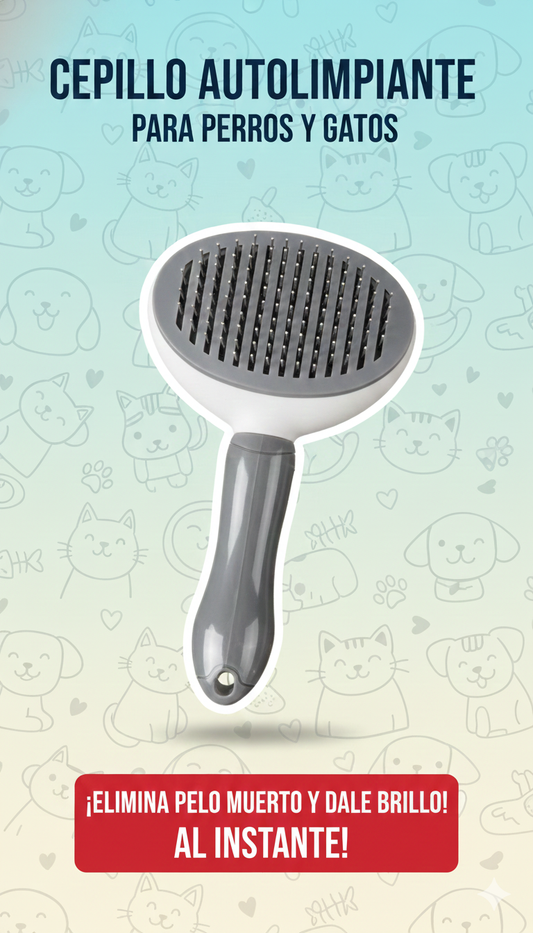 🐶 CEPILLO AUTOLIMPIANTE