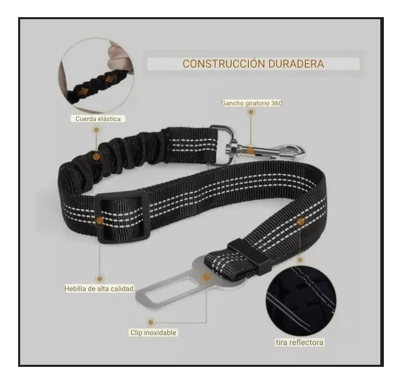 Cinturón De Seguridad Para Perro Gato Correa Elástica Auto